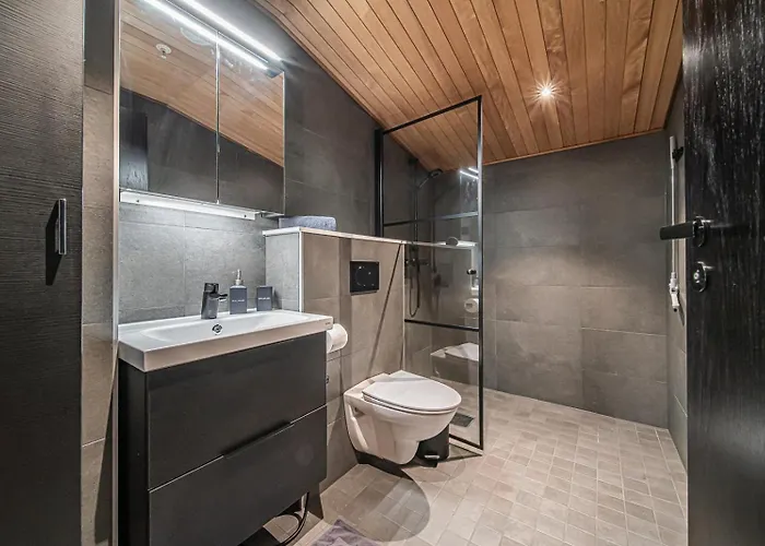 Lomavuokra Cranberry A2, Levi